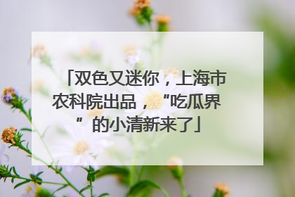双色又迷你，上海市农科院出品，“吃瓜界”的小清新来了
