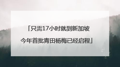 只需17小时就到新加坡 今年首批青田杨梅已经启程