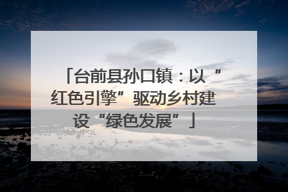 台前县孙口镇：以“红色引擎”驱动乡村建设“绿色发展”