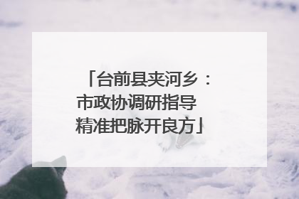 台前县夹河乡：市政协调研指导 精准把脉开良方