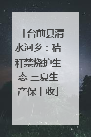 台前县清水河乡：秸秆禁烧护生态 三夏生产保丰收