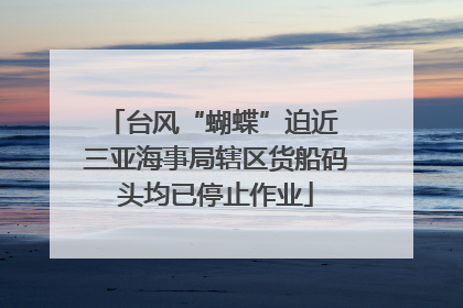 台风“蝴蝶”迫近 三亚海事局辖区货船码头均已停止作业
