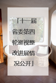 十一届省委第四轮巡视整改进展情况公开