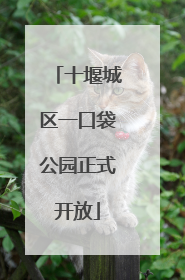 十堰城区一口袋公园正式开放