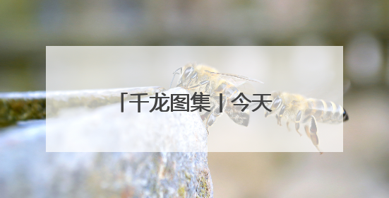 千龙图集丨今天，北京7.89万名高考生上考场