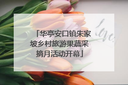 华亭安口镇朱家坡乡村旅游果蔬采摘月活动开幕