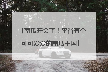南瓜开会了！平谷有个可可爱爱的南瓜王国