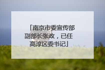 南京市委宣传部副部长张政，已任高淳区委书记