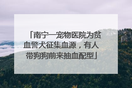 南宁一宠物医院为贫血警犬征集血源，有人带狗狗前来抽血配型