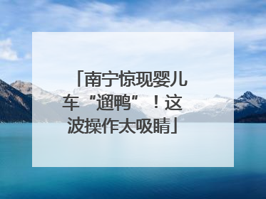 南宁惊现婴儿车“遛鸭”！这波操作太吸睛