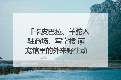 卡皮巴拉、羊驼入驻商场、写字楼 萌宠馆里的外来野生动物暗藏哪些隐患？