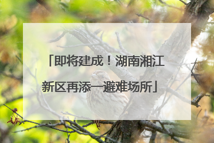 即将建成！湖南湘江新区再添一避难场所