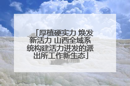 厚植硬实力 焕发新活力 山西全域系统构建活力迸发的派出所工作新生态