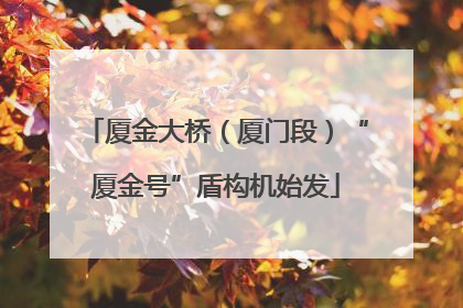 厦金大桥（厦门段）“厦金号”盾构机始发