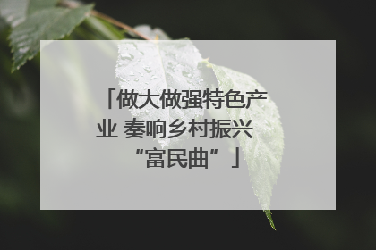 做大做强特色产业 奏响乡村振兴“富民曲”