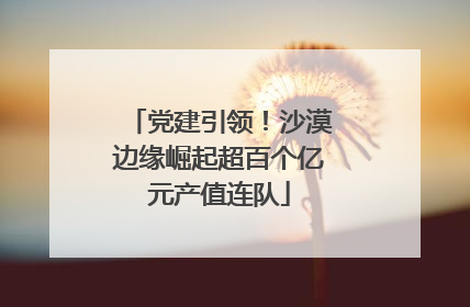 党建引领！沙漠边缘崛起超百个亿元产值连队