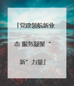 党建领航新业态 服务凝聚“新”力量