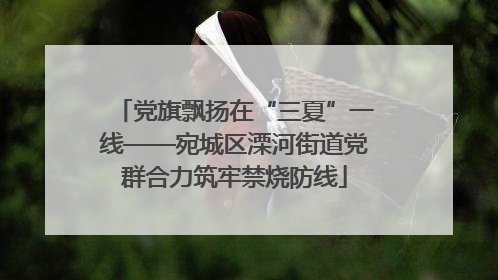 党旗飘扬在“三夏”一线——宛城区溧河街道党群合力筑牢禁烧防线