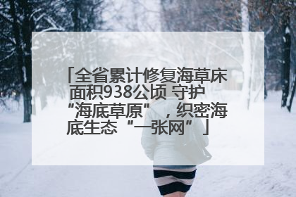 全省累计修复海草床面积938公顷 守护“海底草原”，织密海底生态“一张网”