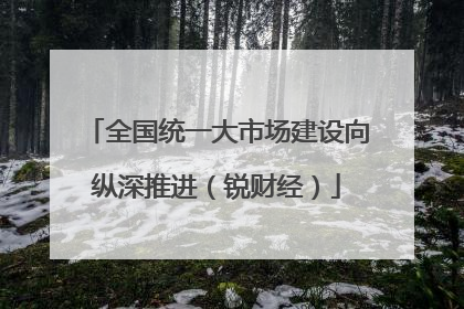 全国统一大市场建设向纵深推进（锐财经）