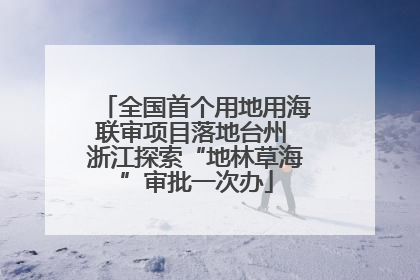 全国首个用地用海联审项目落地台州 浙江探索“地林草海”审批一次办