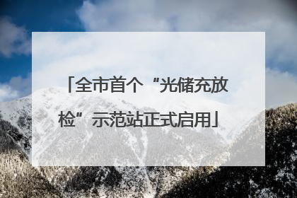 全市首个“光储充放检”示范站正式启用
