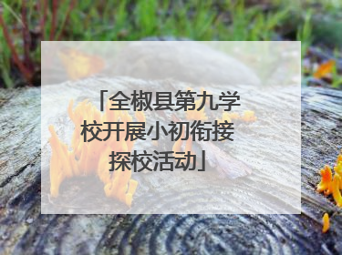 全椒县第九学校开展小初衔接探校活动
