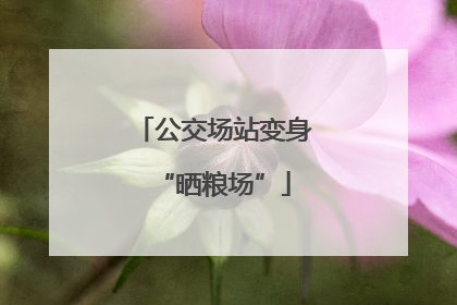 公交场站变身“晒粮场”