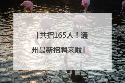 共招165人！通州最新招聘来啦
