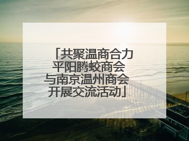 共聚温商合力 平阳腾蛟商会与南京温州商会开展交流活动