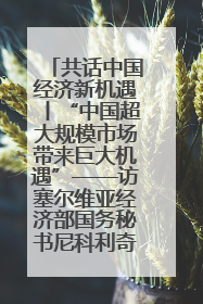 共话中国经济新机遇丨“中国超大规模市场带来巨大机遇”——访塞尔维亚经济部国务秘书尼科利奇
