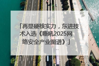 再显硬核实力，东进技术入选《嘶吼2025网络安全产业图谱》