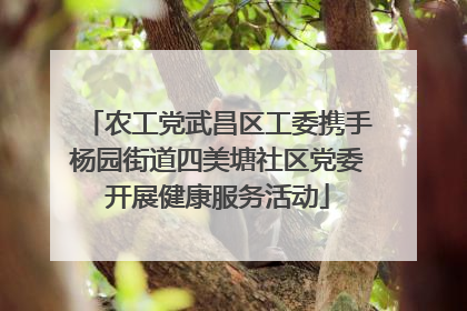 农工党武昌区工委携手杨园街道四美塘社区党委开展健康服务活动