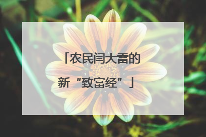 农民闫大雷的新“致富经”