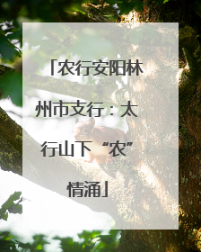 农行安阳林州市支行：太行山下“农”情涌