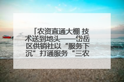 农资直通大棚 技术送到地头——岱岳区供销社以“服务下沉”打通服务“三农”最后一公里
