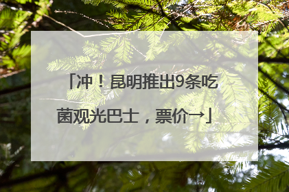 冲！昆明推出9条吃菌观光巴士，票价→