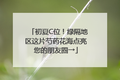 初夏C位！绿隔地区这片芍药花海点亮您的朋友圈→