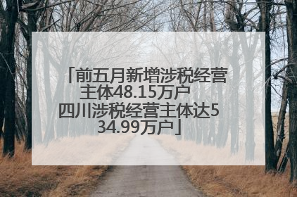 前五月新增涉税经营主体48.15万户 四川涉税经营主体达534.99万户