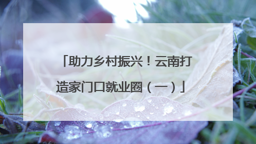 助力乡村振兴！云南打造家门口就业圈（一）