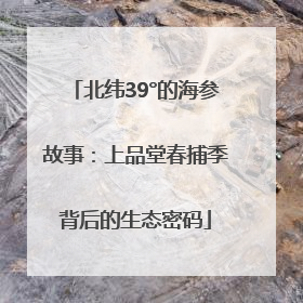 北纬39°的海参故事：上品堂春捕季背后的生态密码