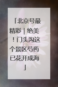 北京号最精彩｜绝美！门头沟这个景区芍药已花开成海