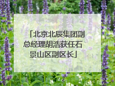 北京北辰集团副总经理胡浩获任石景山区副区长