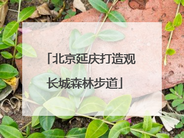 北京延庆打造观长城森林步道
