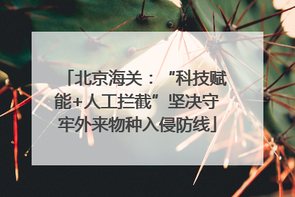 北京海关：“科技赋能+人工拦截”坚决守牢外来物种入侵防线