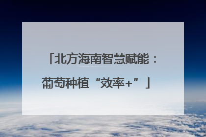 北方海南智慧赋能：葡萄种植“效率+”