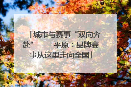 城市与赛事“双向奔赴”——平原：品牌赛事从这里走向全国
