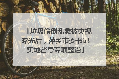 垃圾偷倒乱象被央视曝光后，萍乡市委书记实地督导专项整治