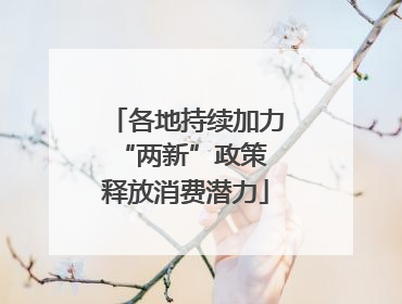 各地持续加力“两新”政策 释放消费潜力
