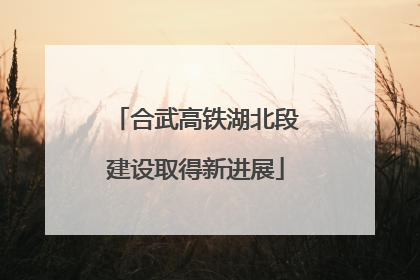 合武高铁湖北段建设取得新进展